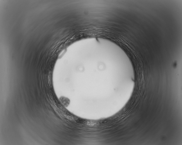 X0000115210088200912091208