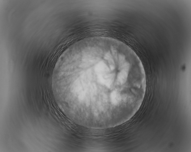 X0000115210089200912091208