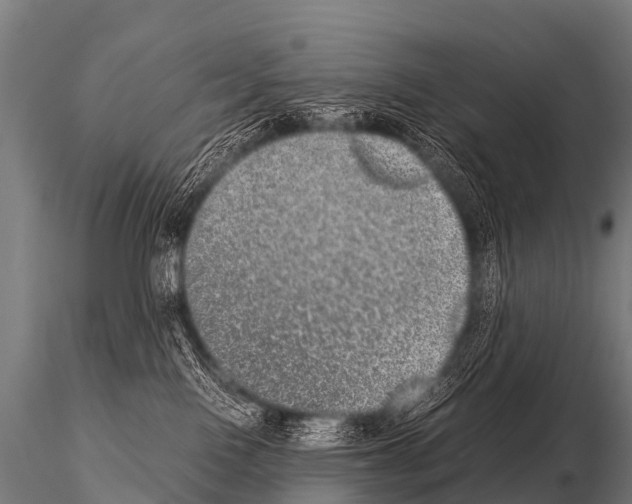 X0000115210090200912091208