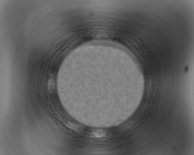 X0000115210091200912091208