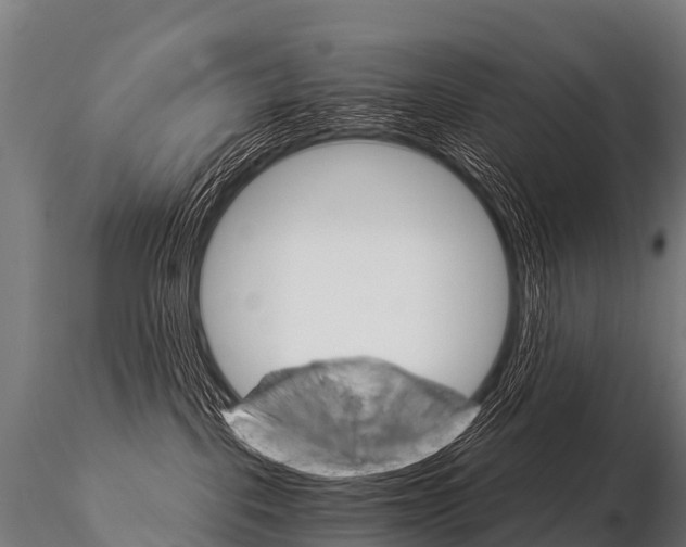 X0000115210093200912091208