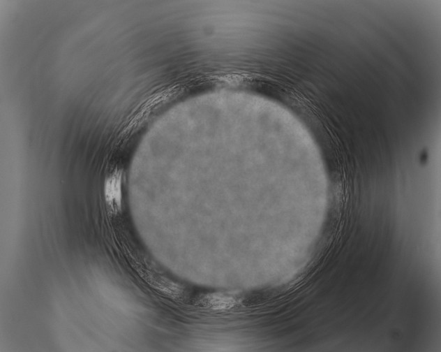 X0000115210094200912091208