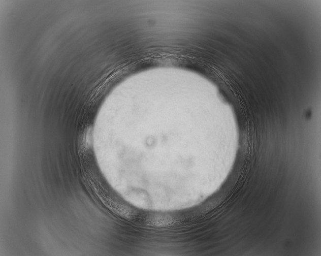 X0000115210095200912091208