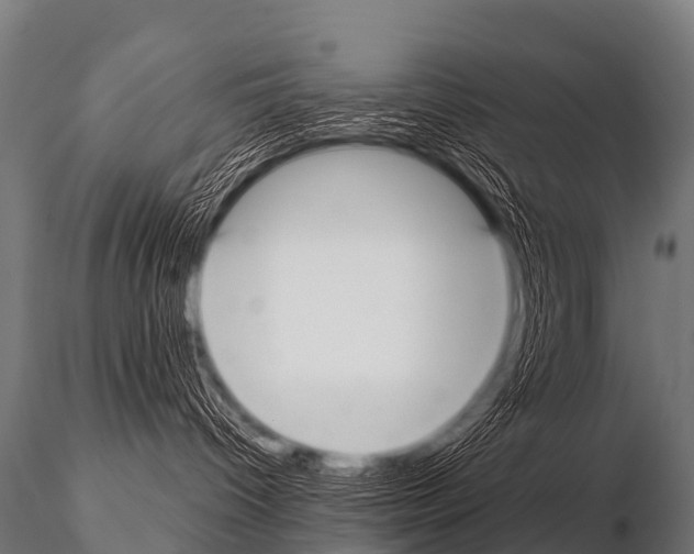 X0000115210096200912091208