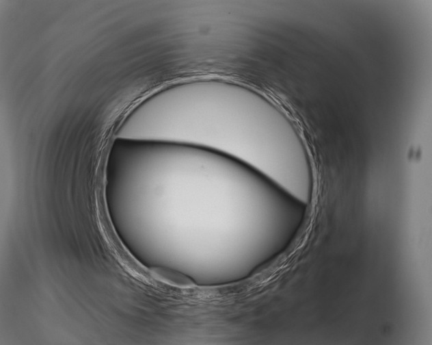 X0000115210097200912091207