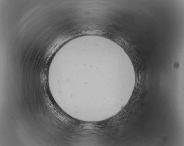 X0000115210098200912091207