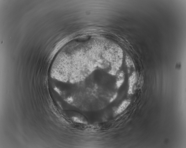 X0000115210099200912091207