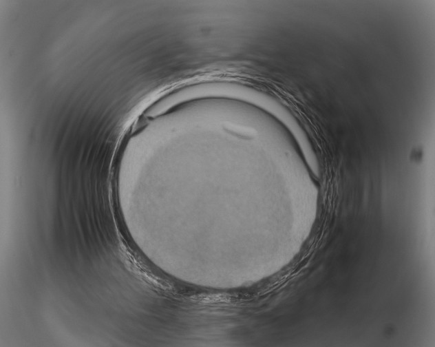 X0000115210100200912091207