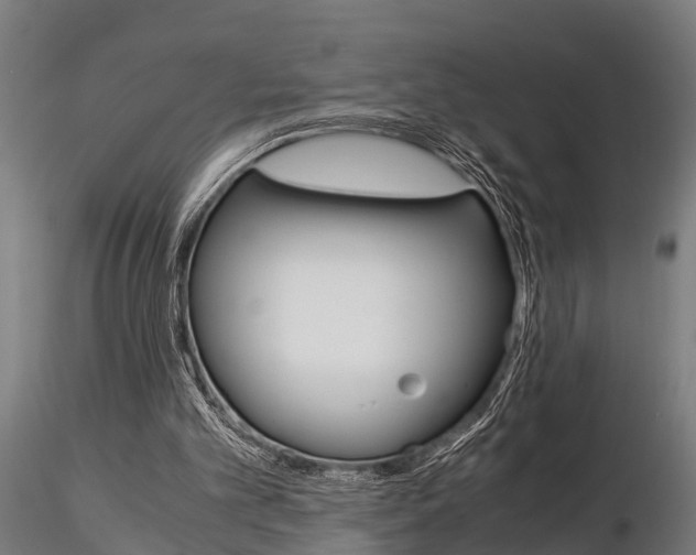 X0000115210101200912091207