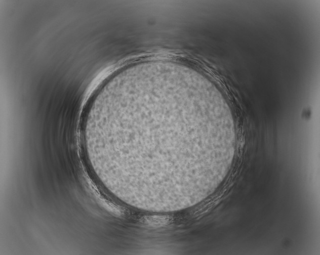 X0000115210102200912091207