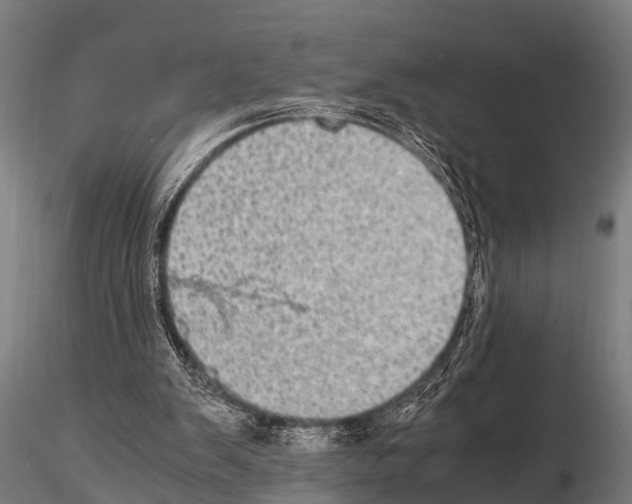 X0000115210103200912091207