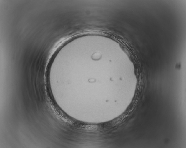 X0000115210104200912091207