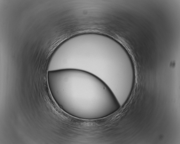 X0000115210105200912091207