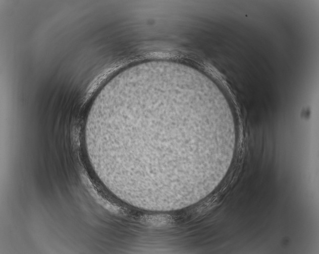 X0000115210106200912091207