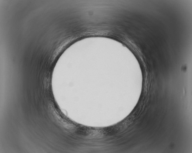 X0000115210107200912091207