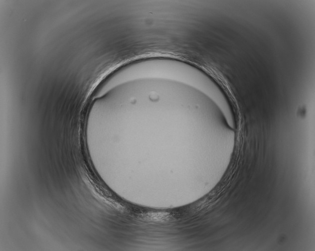 X0000115210108200912091207