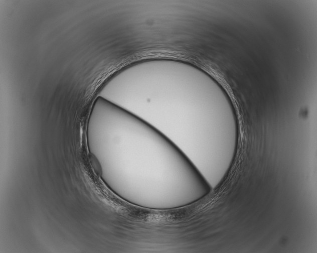 X0000115210109200912091207