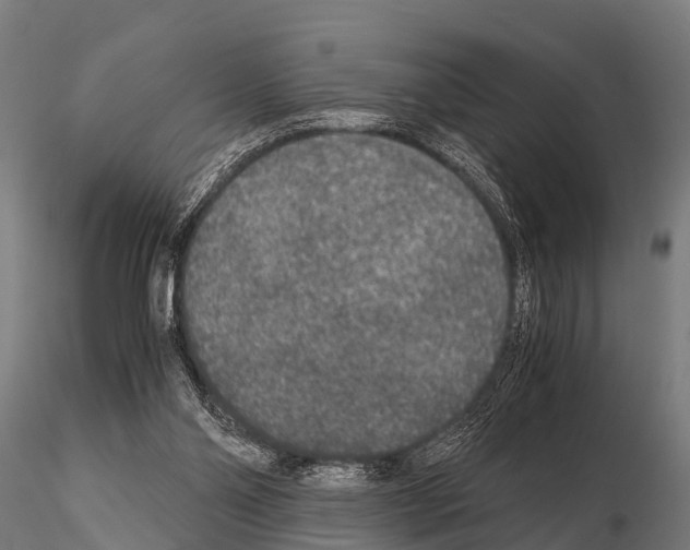 X0000115210110200912091207