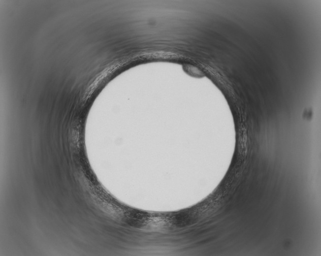 X0000115210111200912091207