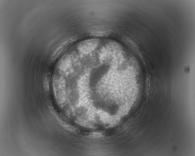 X0000115210114200912091207