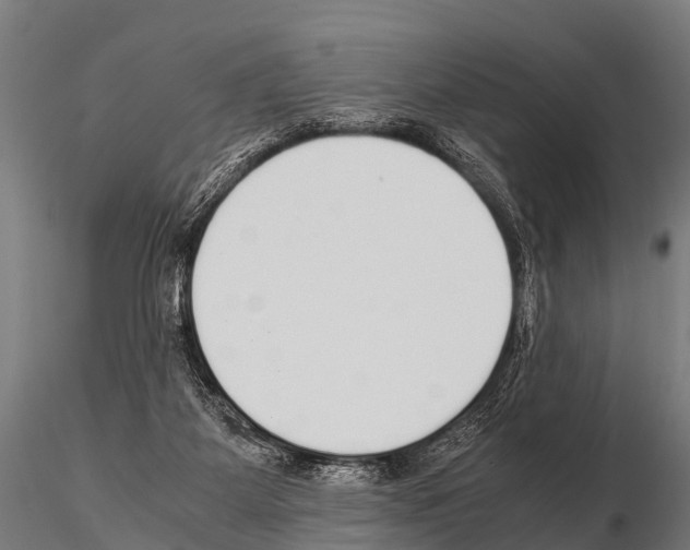 X0000115210115200912091207