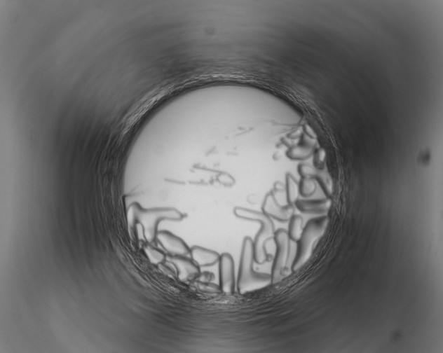 X0000115210116200912091207