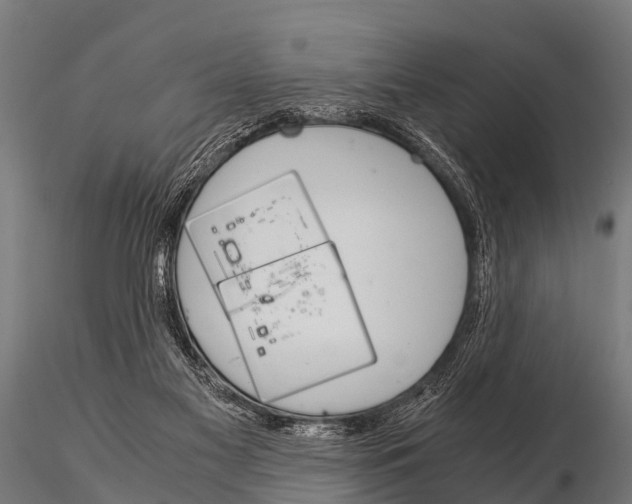 X0000115210117200912091207