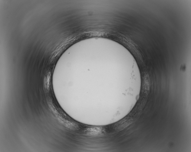 X0000115210118200912091207