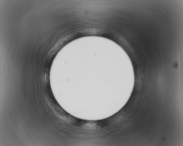 X0000115210119200912091207