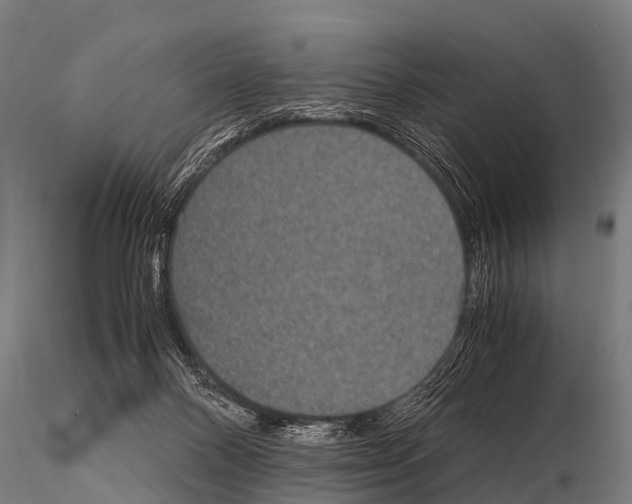 X0000115210120200912091206