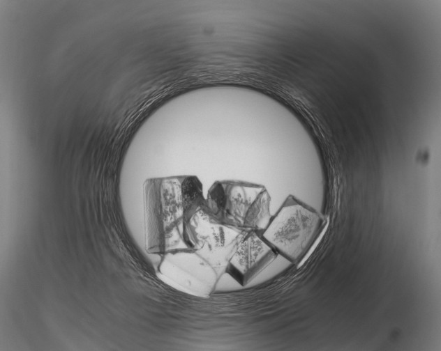 X0000115210121200912091206