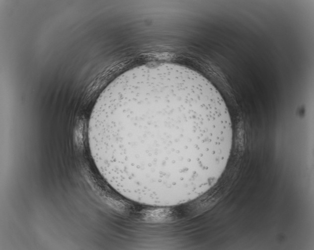 X0000115210122200912091206