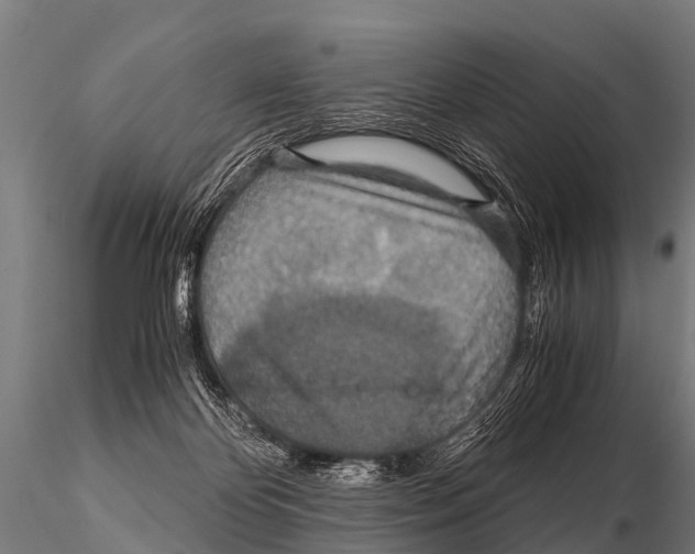 X0000115210124200912091206