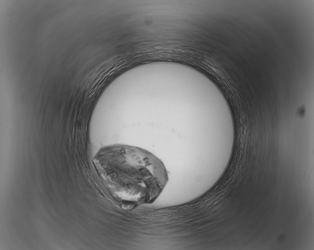 X0000115210125200912091206