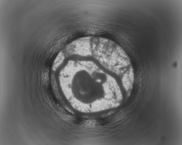 X0000115210127200912091206