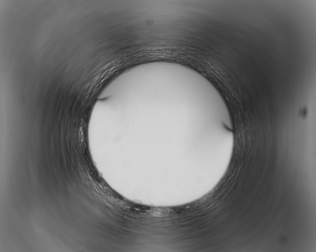 X0000115210128200912091206