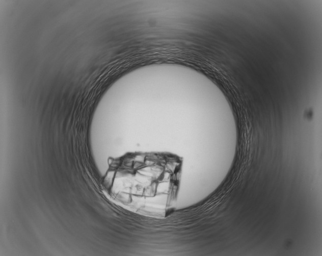 X0000115210129200912091206