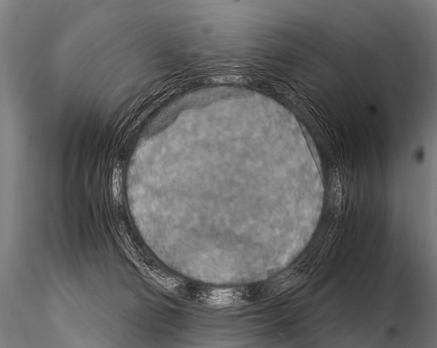 X0000115210130200912091206