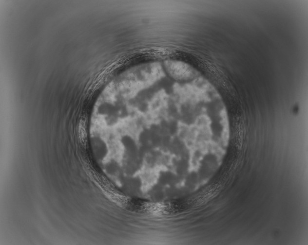 X0000115210131200912091206