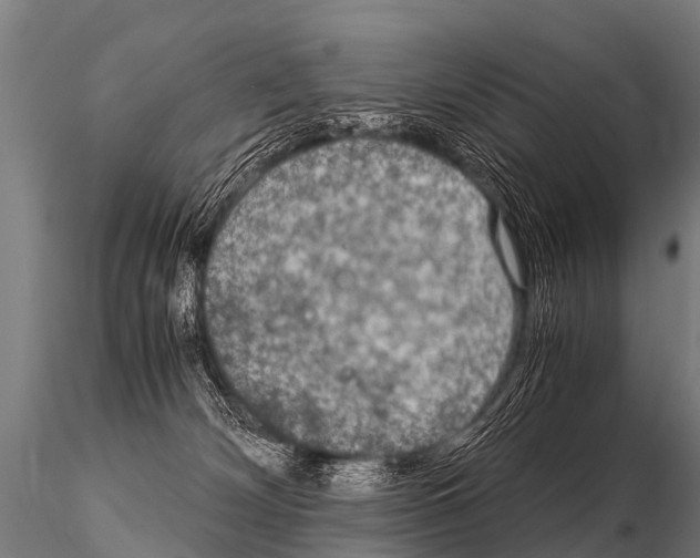 X0000115210132200912091206