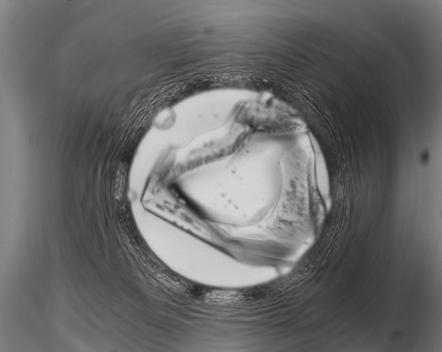 X0000115210133200912091206