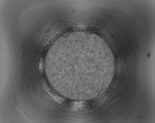 X0000115210134200912091206