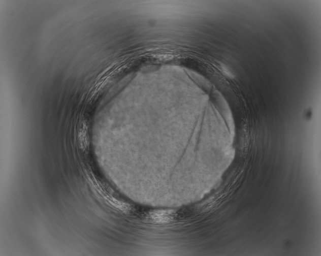 X0000115210136200912091206