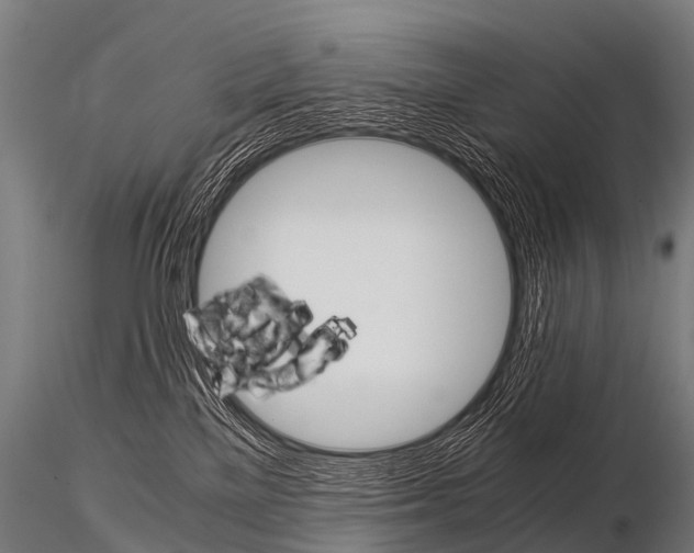 X0000115210137200912091206