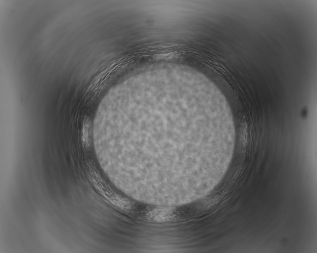 X0000115210138200912091206