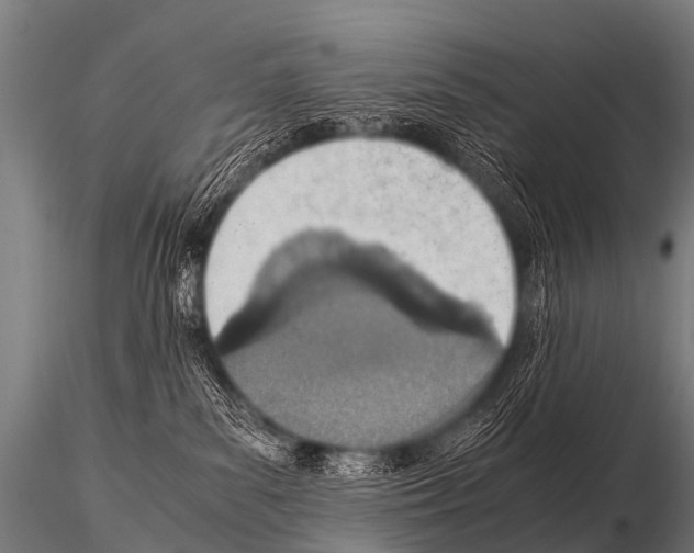 X0000115210139200912091206