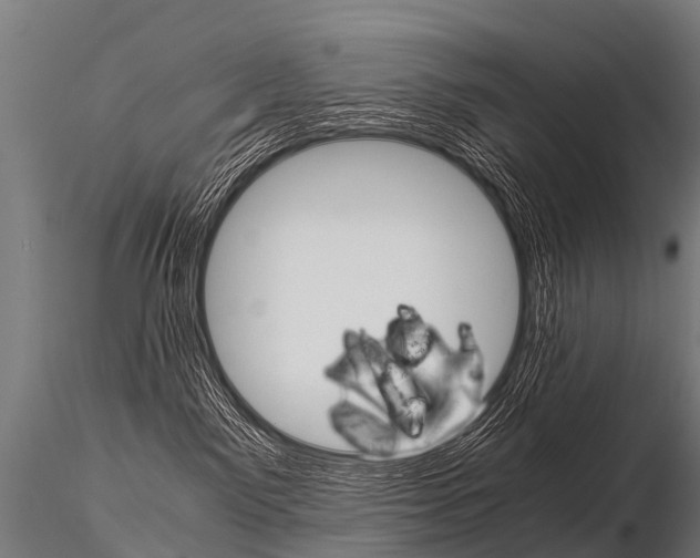 X0000115210141200912091206