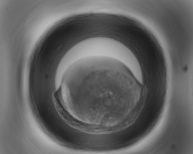 X0000115210143200912091206