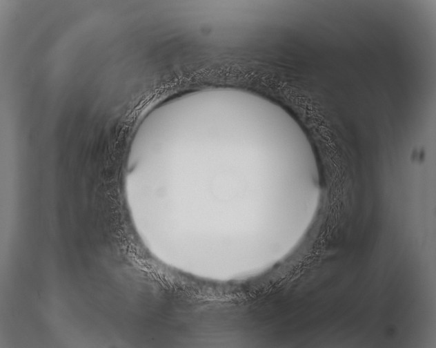 X0000115210144200912091206