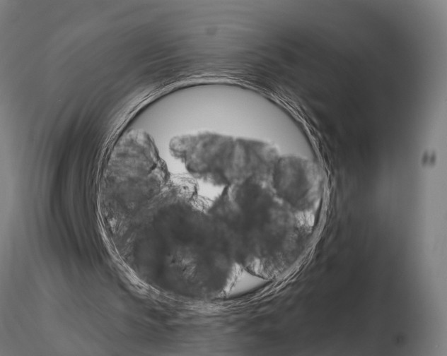 X0000115210145200912091205